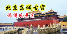 黑鸡巴配女人的大白逼逼真人视频视频中国北京-东城古宫旅游风景区